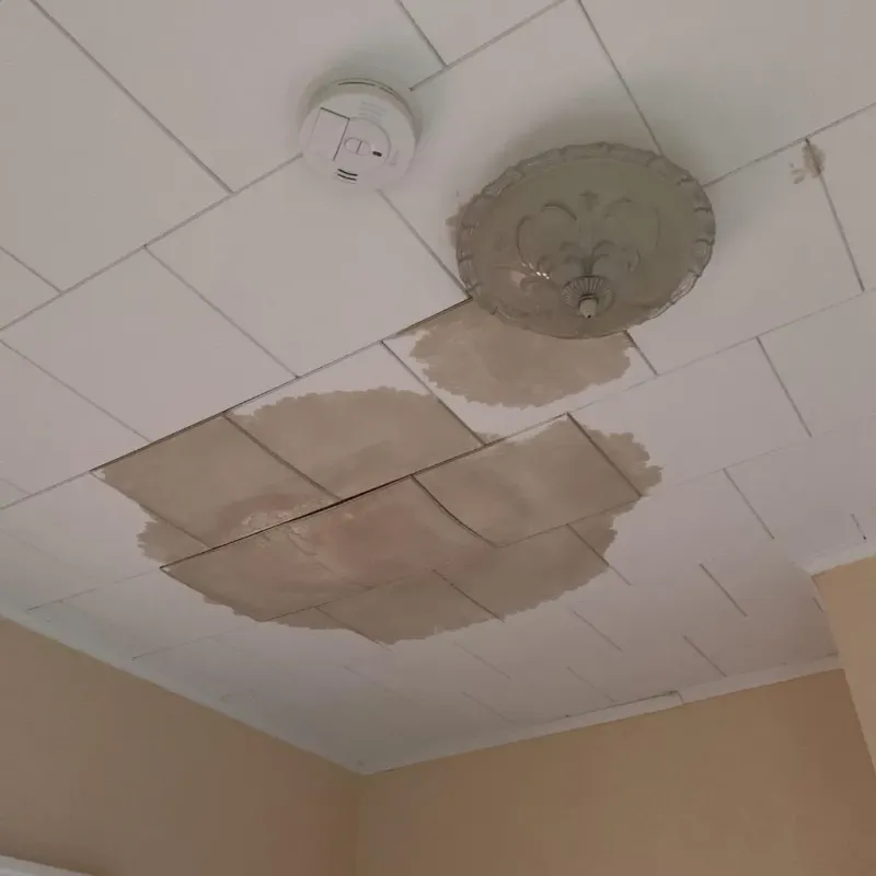 Ceiling Water Damage Repair in Forest, MS