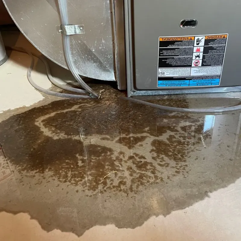 Pipe Burst and Leak Restoration in Forest, MS