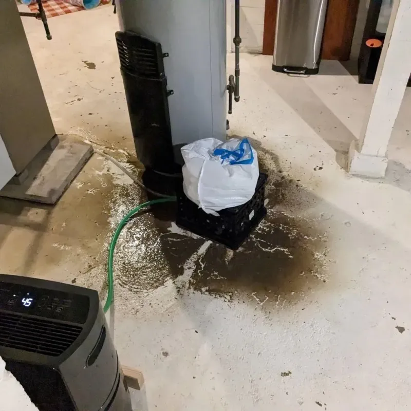 Sewage Backup Cleanup Service in Forest, MS